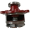 Pompa idraulica 02937441 del motore di Deutz BFM1013  D7D