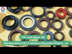 Kit di riparazione delle guarnizioni ad olio - Kit di guarnizioni a gomma/Kit di guarnizioni a secchio/Kit di guarnizioni a braccio