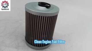 FF5584 P550839 7029275 20549350 Filtro carburante