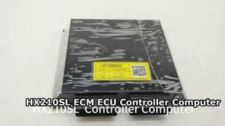 Computer di controllo ECU ECM HX210SL