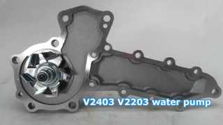V2403 V2203 pompa acqua