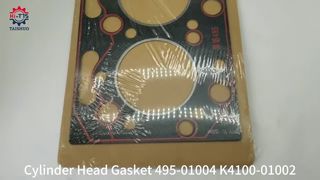 Guarnizione Testata 495 495ZC
