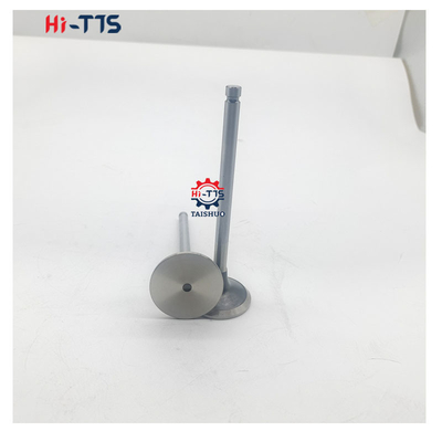 4BT 6BT 6D102 Valvola di aspirazione del motore diesel Valvola di scarico 4995554 3901117 3920867 3920868