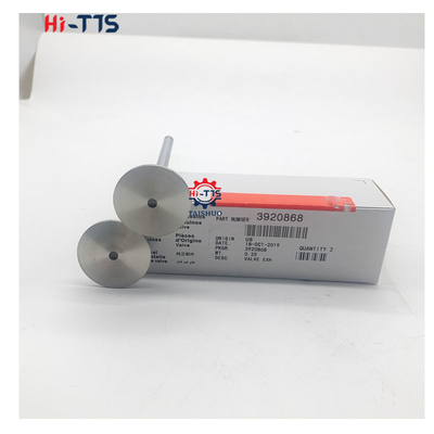 4BT 6BT 6D102 Valvola di aspirazione del motore diesel Valvola di scarico 4995554 3901117 3920867 3920868