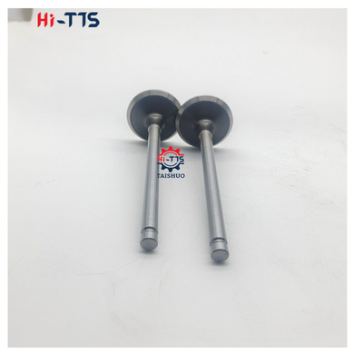 4BT 6BT 6D102 Valvola di aspirazione del motore diesel Valvola di scarico 4995554 3901117 3920867 3920868