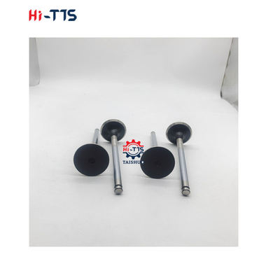 D2366 Motore diesel parti di ricambio Valvola d'ingresso 6504101-0044