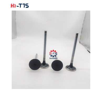 D2366 Motore diesel parti di ricambio Valvola d'ingresso 6504101-0044