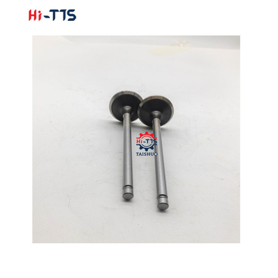 6BT 4BT Motori diesel parti di ricambio Valvola d'ingresso 3901117 3920867 3920868