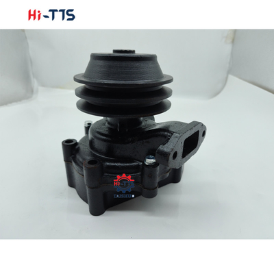 495 495D 4100 4102 ZH4100 K4100 Assemblaggio pompa d'acqua Motore diesel Parti di ricambio