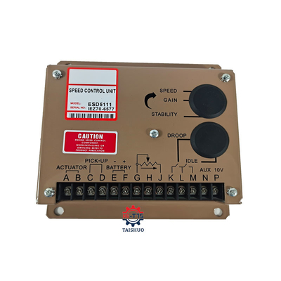 Prezzo buono Regolatore di velocità dell'unità di controllo di velocità ESD5111 12V 24V Controller in linea